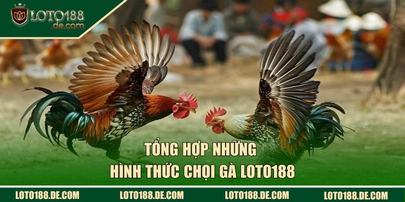 Đá Gà | Kịch Tính Và Hấp Dẫn Đến Từng Giây Phút Cuối Cùng 2 Tổng hợp những hình thức chọi gà LOTO188
